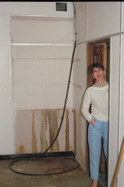 Standing in the new Tricorn House offices in Edgbaston, circa October 1987. We were moving from the bus barn on Waterworks Road.