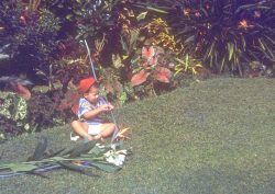 I'm playing with cut flowers. I'd guess this is late 1949 or early 1950, taken in the garden at 140 Dowsett Avenue. The great expanse of lawn and garden that ultimately became (sadly) 156 Dowsett Avenue.
