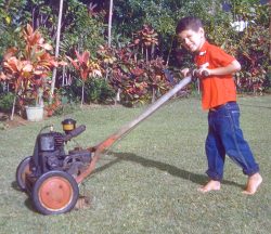 The Health and Safety people would be thrilled to see me pushing what appears to be a gas-operated lawn mower --- with no shoes. Makes my toes curl even now, over half a century later.
