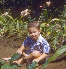 I've always loved orchids. Here I am, in the dirt at Dowsett Avenue, surrounded by orchids. Circa 1950.