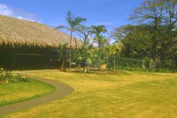 This was Nana's florist business. It was almost eight acres of nursery, plus a retail florist, all located on what is now the freeway interchange in Moanalua. Tourists walked through the gardens in the back, which were gorgeous. HIFF provided the flowers for many of the Elvis movies in Hawaii. I loved the place because it had lots of padlocks that came with lots of keys.