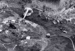 Playing in the back garden at 140 Dowsett Avenue in Nuuanu, creating my own little "model village," 1958. I can remember painting the clay pots to look like houses, and (of course) there was the obligatory running water. Didn't take long for it to turn into mud.