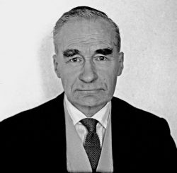 1970's "homemade" passport photo